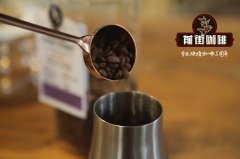 哥斯达黎加咖啡怎么煮才好喝？谈谈特硬豆的风味与冲煮水温要点