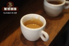 意式咖啡机该配什么咖啡豆？拼配豆和中深烘单品豆怎么选