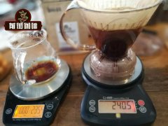 巴西邦雅尔丁庄园咖啡豆怎么样？Matas de Minas产区风味与半水洗处理解析