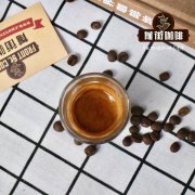 巴西咖啡商寻求中国合作伙伴 更多巴西精品咖啡有望飘香中国