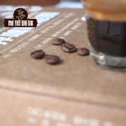 尼加拉瓜玛莎耶萨是什么品种？黑天使日晒豆的风味与产区特点解析