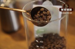 尼加拉瓜橘波旁日晒咖啡好喝吗？苏斯皮洛庄园三种处理法风味对比
