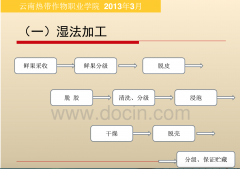 云南小粒咖啡标准化生产技术,鲜果采摘与初加工水洗处理步骤
