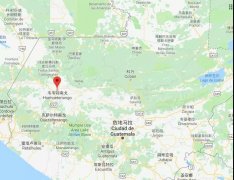 薇薇特南果产区|帕卡马拉的豆子特性与烘焙思路|如何烘焙波尔萨?