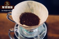 危地马拉花神咖啡贝拉庄园冰手冲教程_冰手冲花神咖啡好喝吗