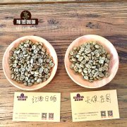 哥伦比亚-(Guayata)瓜雅塔水洗铁皮卡的风味?前街推荐v60冲煮
