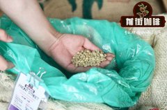 坦桑尼亚Kigoma基戈马区|Kanuovu卡若夫合作社水洗肯特、波旁的风