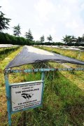 肯尼亚咖啡豆品种手冲建议风味口感特点 星巴克肯亚咖啡豆CT故事