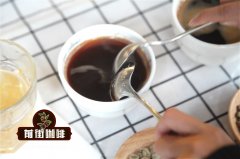 秘鲁咖啡|亚尼莎合作社 G1 水洗|秘鲁咖啡怎么喝?