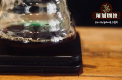 手冲巴西黄宝石蜜处理咖啡怎么注水_手冲巴西咖啡水粉比怎么算