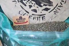 牙买加蓝山咖啡怎么鉴别真假？在家手冲蓝山一号的风味与选购要点