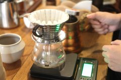 铁皮卡对比|天堂鸟、云南花果山、艾丽达、蓝山的风味?