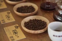 懒人冲啡系列|如何用聪明杯泡西达摩花魁?而且好喝?