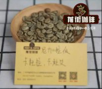 尼加拉瓜没有象屎咖啡!尼加拉瓜咖啡产地介绍
