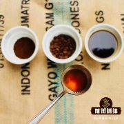 顶级咖啡有什么 什么样的咖啡好 怎样才能冲出一杯好咖啡