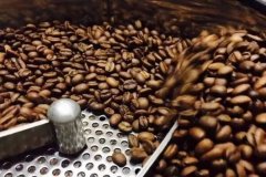 咖啡里的瑕疵豆都有什么?咖啡豆应该怎么挑?