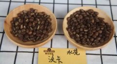 爪哇咖啡和Java有什么关系？印尼爪哇咖啡到底好不好喝？
