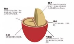 湿刨法、半日晒、果肉日晒和蜜处理有什么区别？一文看懂四种咖啡处理法风味差异