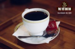 法压壶咖啡豆怎么选？中深焙还是深焙更适合懒人壶？