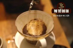 多米尼加咖啡的历史，多米尼加的圣多明各咖啡风味是怎样的