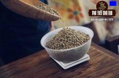 哥斯达黎加金黄蜜处理是什么？珍珠帕洛玛庄园风味与蜜处理分级一次看懂
