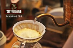 咖啡豆的香气酸度 与种植咖啡豆的土壤 咖啡树与湿度的关系