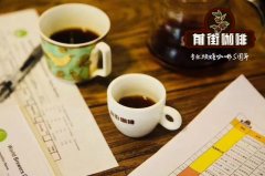 手冲咖啡怎么冲才好喝？水温粉水比与注水步骤全解析
