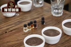 什麽是咖啡合作社？跟我们有何关联？