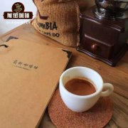 撸猫有风险！宠物咖啡店卖萌治愈背后的安全隐患你意识到了吗？
