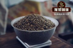 猫屎咖啡豆是怎么来的？为什么它被称为世界最贵咖啡之一