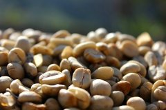 巴西咖啡产区天气 巴西阿拉比卡咖啡豆波旁品种冲煮风味口感描述