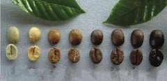 危地马拉咖啡产区圣塔费丽莎庄园 红铁比卡双重浸泡咖啡风味描述