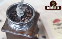厄瓜多尔咖啡豆水洗海龟豆特点 厄瓜多尔咖啡豆咖啡知名度