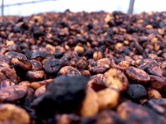 雀巢Dolce Gusto咖啡机没有水流出 咖啡机水或液体外部泄漏怎么做