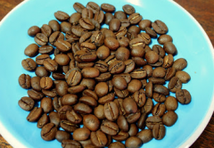Robusta是什么咖啡  印尼罗姆斯达种咖啡豆特点介绍风味描述