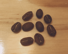 最昂贵的咖啡之一尖身波旁咖啡产自哪 辛格兰达尖身波旁价格