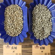 越南咖啡种植故事 咖啡种植品种有哪些 越南咖啡种植特点介绍