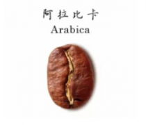 阿拉比卡咖啡酸么 百分百阿拉比卡咖啡生长的适宜高度