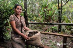 考卡咖啡Finca Santuario Heliconias农场介绍 水洗波旁咖啡特点