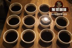 圣文森蜜帕卡斯/亚齐红蜜曼特宁风味杯测 水洗耶加雪非不同烘焙度