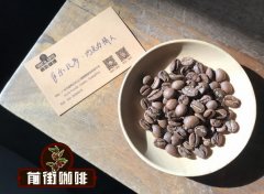 蓝山口味咖啡啥意思 牙买加蓝山BMCP处理厂Peaberry咖啡特点