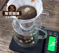 洪都拉斯黎多诺咖啡庄园的背景介绍 黎多诺咖啡的特点和风味阐述