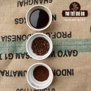 哥斯达黎加咖啡为什么适合加冰？冰冲蜜处理的风味与冲煮比例一次讲清