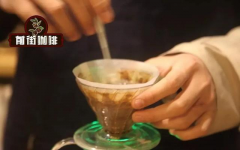 厄瓜多尔罗萨品塔朵庄园铁皮卡水洗好喝吗？红茶般回甘的微批次风味解析