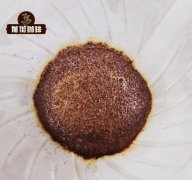 耶加雪菲阿多斯厌氧日晒为什么能拿埃塞生豆冠军？花香菠萝风味解析