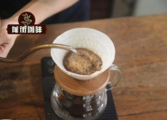 巴拿马南卡萨鲁伊斯庄园 精品咖啡庄园故事产地品种口味特征