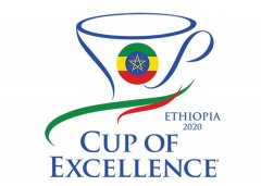 首届Ethiopia埃塞俄比亚卓越杯coe拍卖会创下134万美元的新高
