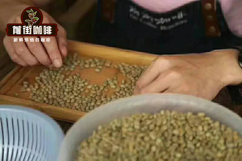 瑰夏咖啡和耶加雪菲区别关系 耶加雪菲咖啡豆风味特点口感