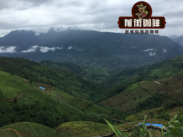 云南小粒咖啡好喝吗 适合新手入门的云南小粒精品咖啡豆推荐 