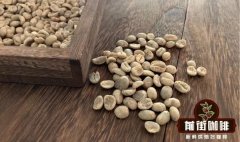 阿拉比卡与罗布斯塔咖啡豆的区别 云南小粒咖啡属于阿拉比卡吗